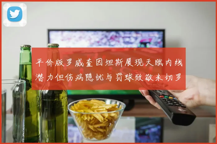 平价版罗威奎因坦斯展现天赋内线潜力但伤病隐忧与罚球致敬米切罗