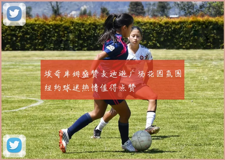 埃奇库姆盛赞麦迪逊广场花园氛围纽约球迷热情值得点赞